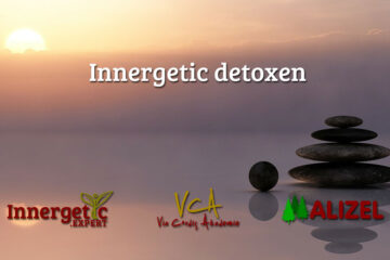 Innergetic detoxen